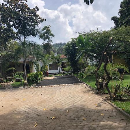 Kivu Beach Garden جيسايني المظهر الخارجي الصورة
