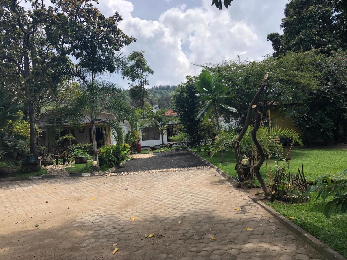 Kivu Beach Garden جيسايني المظهر الخارجي الصورة