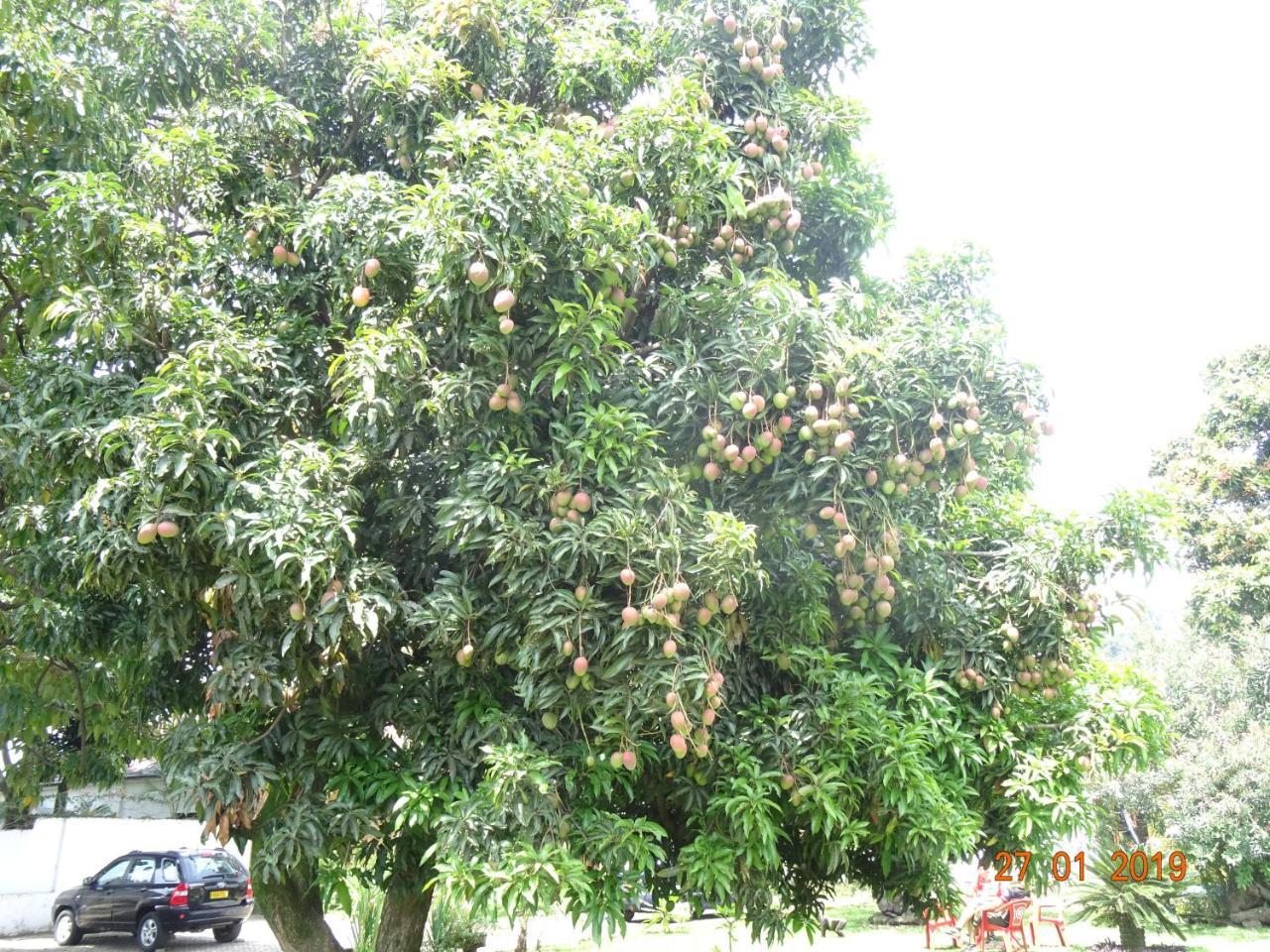 Kivu Beach Garden جيسايني المظهر الخارجي الصورة